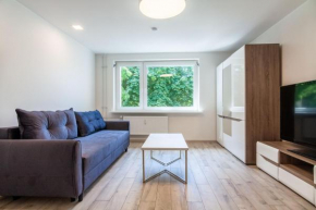 A New Day Apartment, By Cohost